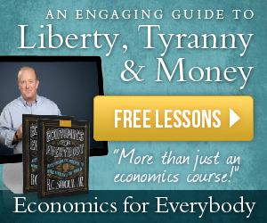 Economics for Everybody